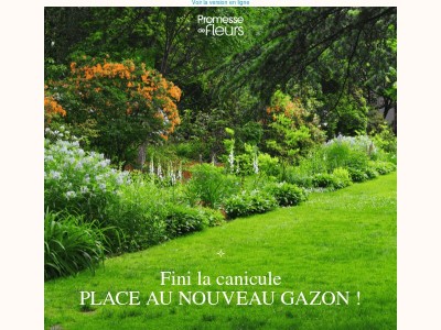 Votre pelouse a souffert de la chaleur ? C’est le moment d’agir !