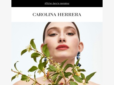 Bienvenue dans un monde d'élégance audacieuse