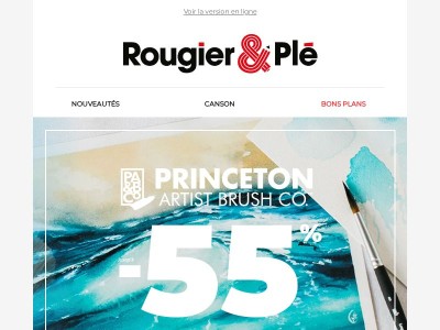 Offre de lancement Princeton : -55% 🔥