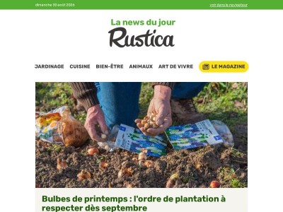 Bulbes de printemps : la liste des plantations de septembre