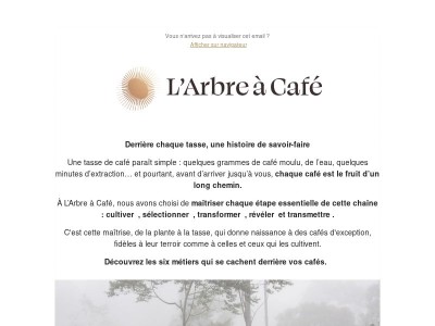 Tout commence bien avant votre première gorgée ☕✨