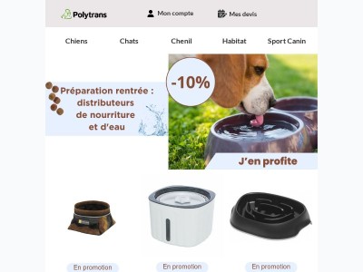 La rentrée se prépare aussi pour votre compagnon !
