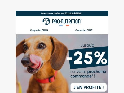 ⚡ Dernière chance : jusqu’à -25% sur ses croquettes