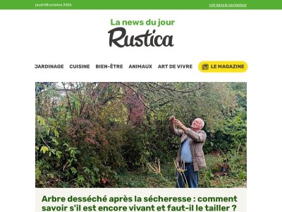 Arbre desséché après la sécheresse : comment savoir s'il est encore vivant et faut-il le tailler ?
