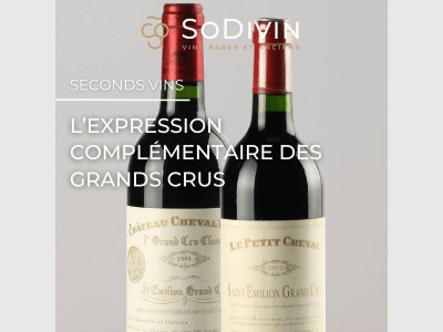 Les seconds vins - l'expression complémentaire des grands crus 🍇