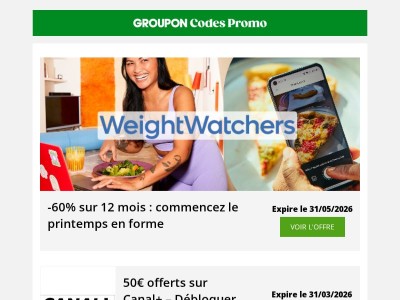 -60% WW, 50€ Canal+, enfant gratuit à Parc Astérix