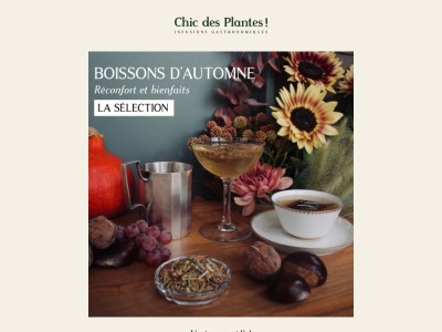 🍂 Sélection d'automne