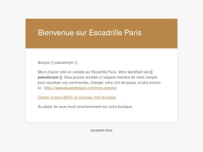 Votre compte sur Escadrille Paris a été créé