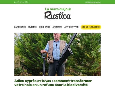 Retirer une haie de thuya sans engin : la méthode simple et écologique