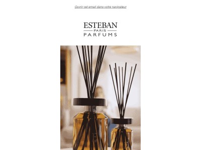 NOUVEAUTE ✨Le grandiose s’invite chez vous