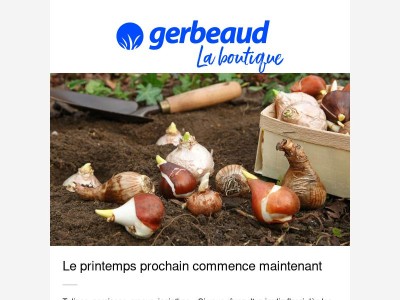 🌷 Et si vous pensiez au prochain printemps ?