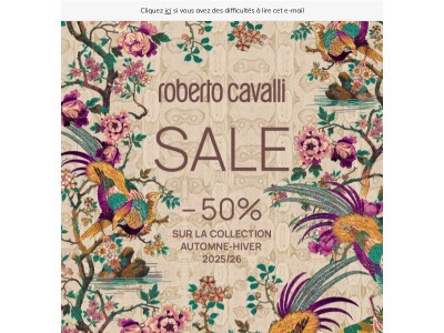 Les Soldes Ont Commencé