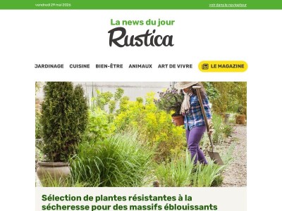 Sélection de plantes résistantes à la sécheresse pour des massifs éblouissants
