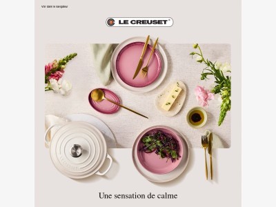 Romantisez le quotidien avec Rose Quartz