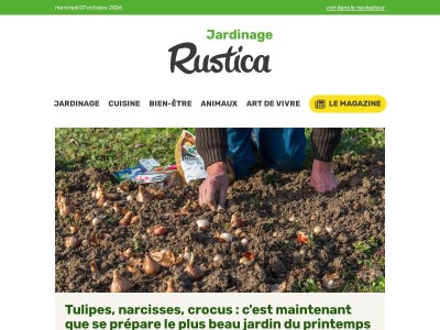 Plantez les fleurs du printemps au jardin