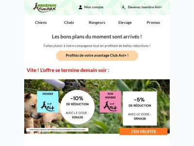 3 bons plans pour prendre soin de votre compagnon !