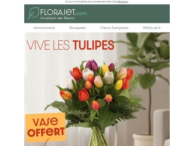 Vase OFFERT avec vos tulipes !