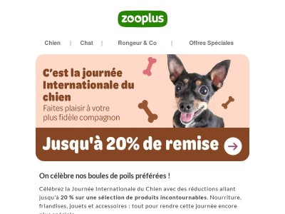 {{ firstname }}, journée du Chien : jusqu'à -20 % pour lui faire plaisir 🐶