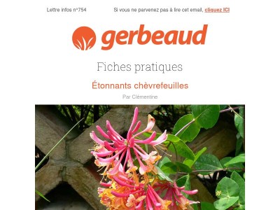 Vos conseils plantes et jardin pour la semaine