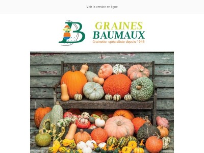 Cucurbitacées : une grande famille de succulentes variétés