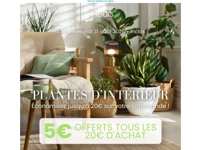 Plantes d’intérieur : 5€ offerts tous les 20 € d'achat ! 🌿