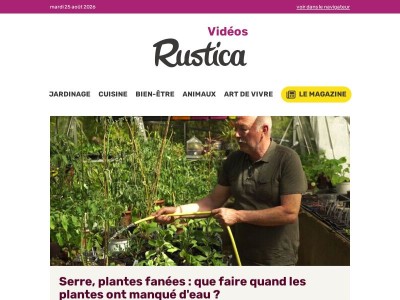 Que faire au jardin lorsque tout a séché ?