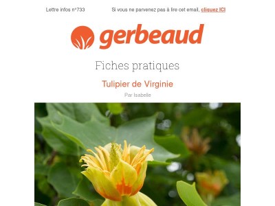 Vos conseils plantes et jardin pour la semaine