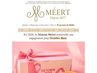 🩷 Mobilisons-nous pour Octobre Rose !