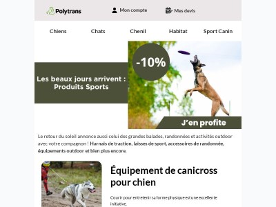 Équipez votre chien pour l’aventure !