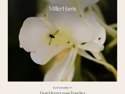 Survey Vouchers Expire Soon