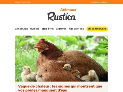 Les effets de la canicule sur les animaux et insectes du jardin