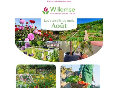 🌻 Août : votre jardin a encore des secrets à vous révéler !