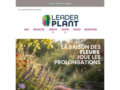 Qui a dit que l’automne était gris ?