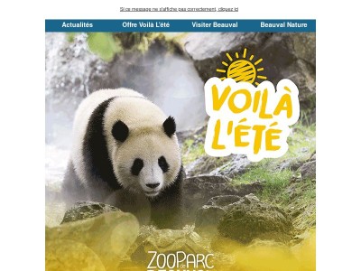 Profitez de nos offres exceptionnelles ! 🌞