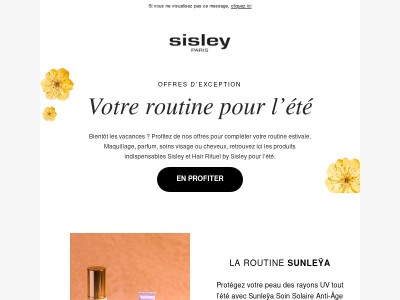 Offres exclusives : faites-vous plaisir ! ✨