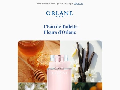 Fleurs d’Orlane : une Signature florale lumineuse