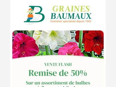 🕔 REMISE de 50% sur un assortiment de bulbes à fleurs & glaïeuls.
