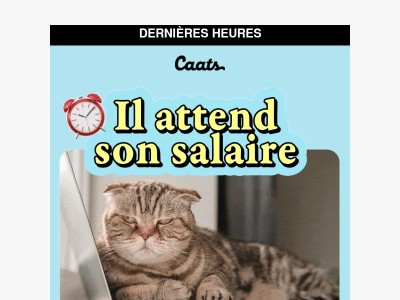 Ton chat a passé commande à -40%