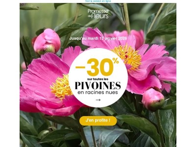 Profitez de -30% sur toutes les pivoines en racines nues !