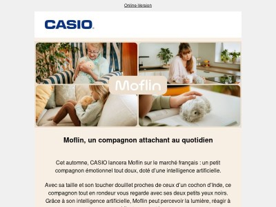 Moflin arrive en France