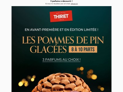 📣 En exclusivité : les Pommes de pin glacées