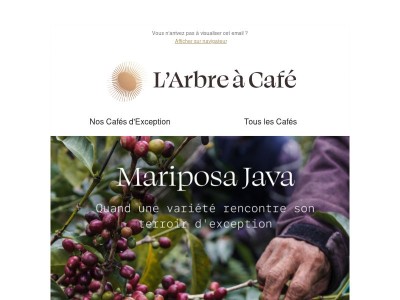 Nouvelle saison, nouveau café d'exception ! ☀️