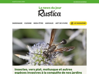 Nos jardins sous pression : la progression inquiétante des espèces invasives