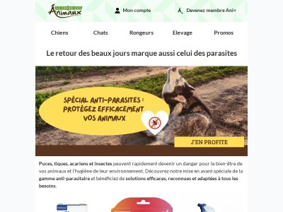Stop aux parasites : protégez vos animaux dès maintenant