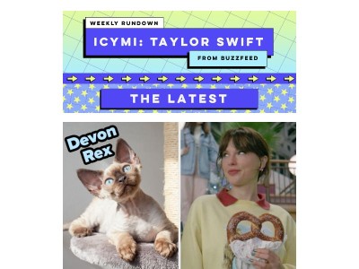 Your Taylor Swift Song Preferences Will Reveal Your Inner Cat