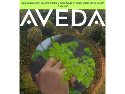 Le pouvoir botanique du Moringa et du Jojoba - Découvrez le nouveau One For All Elixir