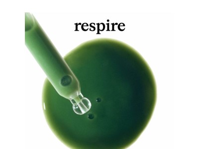 4 actifs qui font la différence