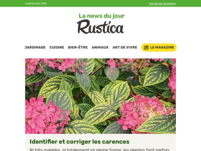 Comment corriger les carences du sol