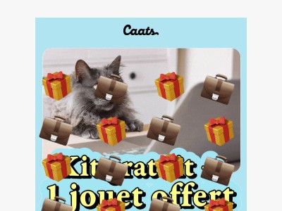 Kit gratuit + 1 JOUET OFFERT pour ton chat