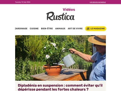 Fortes chaleurs : aidez les plantes en pot et en pleine terre